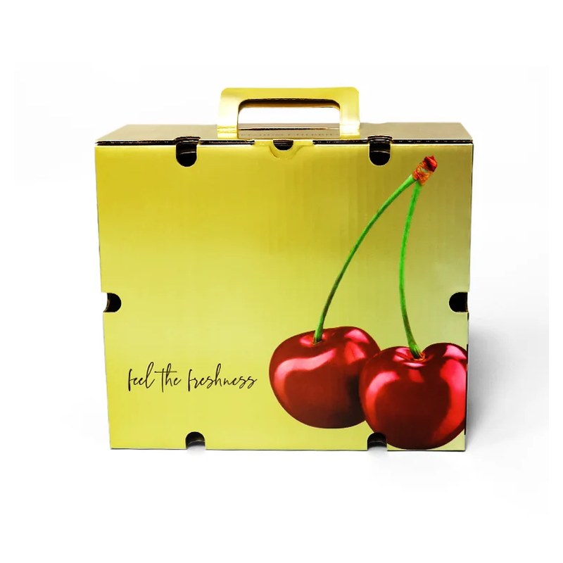 Fruit packaging box · Ref 078