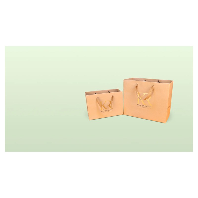 Kraft paper bag · Ref 222